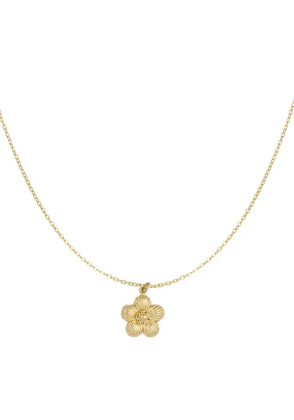 Bella necklace gold